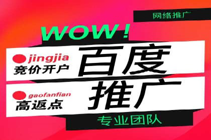 行业领先企业的网络推广与竞价经验